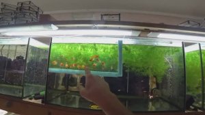 Работа на разводне.