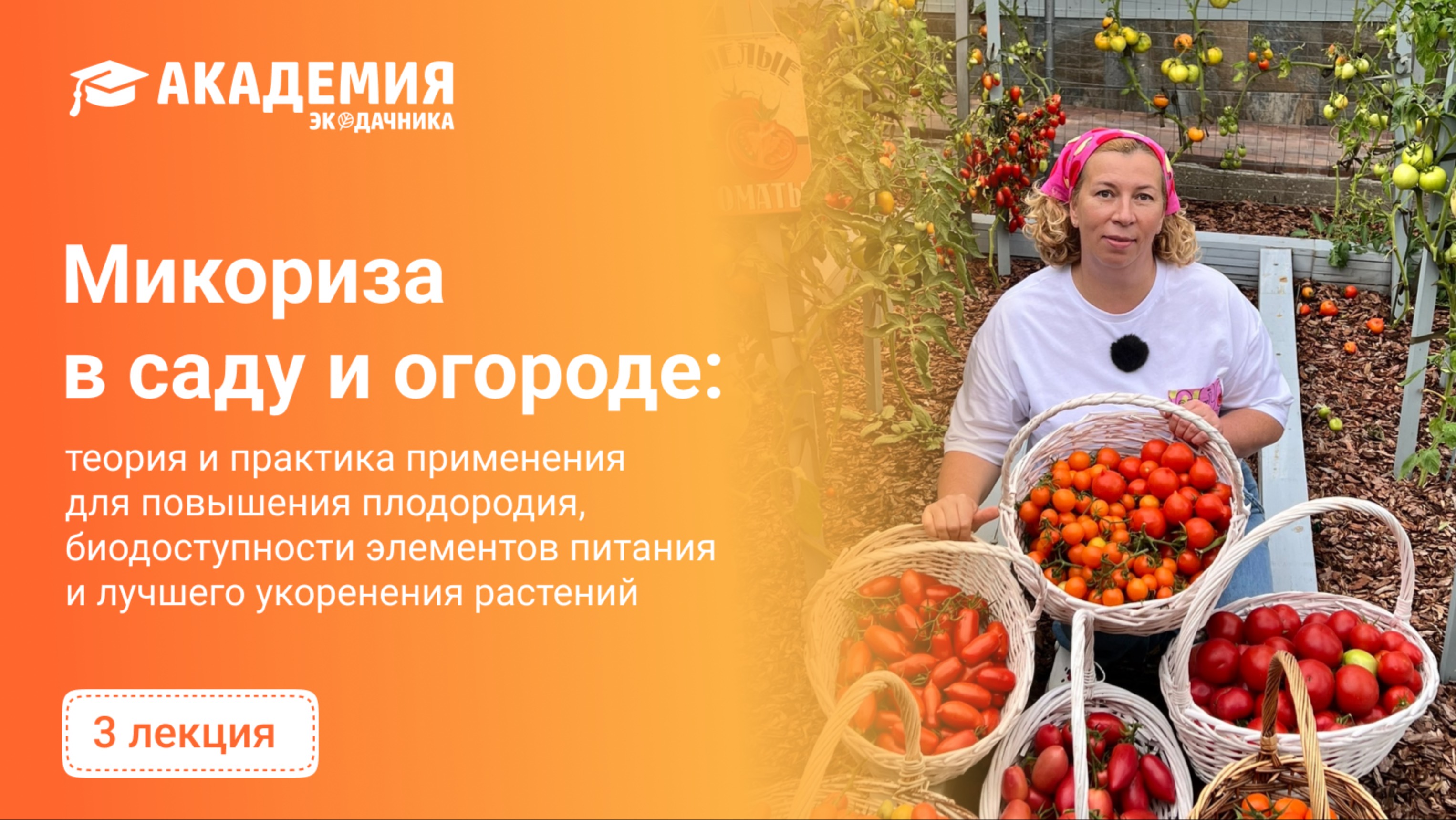 Микориза в саду и огороде советы Марины Рыкалиной и фитопатолога Ирины Ивановой