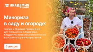 Микориза в саду и огороде советы Марины Рыкалиной и фитопатолога Ирины Ивановой