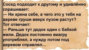 Анекдот про совет мужикам в отношении жены. Сборник анекдотов
