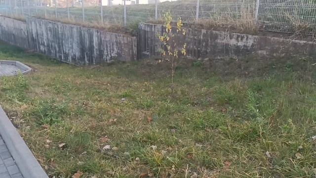 Ах какая песня 🎤🎶🎶. *А любят не нежных, не добрых, не ласковых. *Просто все очень просто!!!!. смотреть онлайн