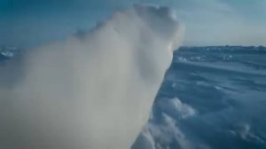 Удивительная охота Хитрого БЕЛОГО МЕДВЕДЯ в Акртике!