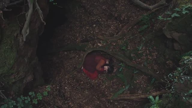 Трейлер фильма "Хамнет" Искусство, рожденное из бездны горя смотреть онлайн