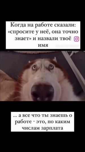 #shorts #работа #юмор