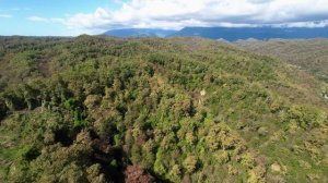 Абхазия. Полёт над дачей Сталина. Падение дрона.