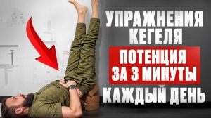 Простата и проблемы с кишечником. Эта связь станет для вас очевидной...