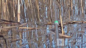 Октябрьская РЫБАЛКА по ледяной воде (оз. АЛАБУГА)