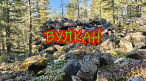 Тайга чикойская...