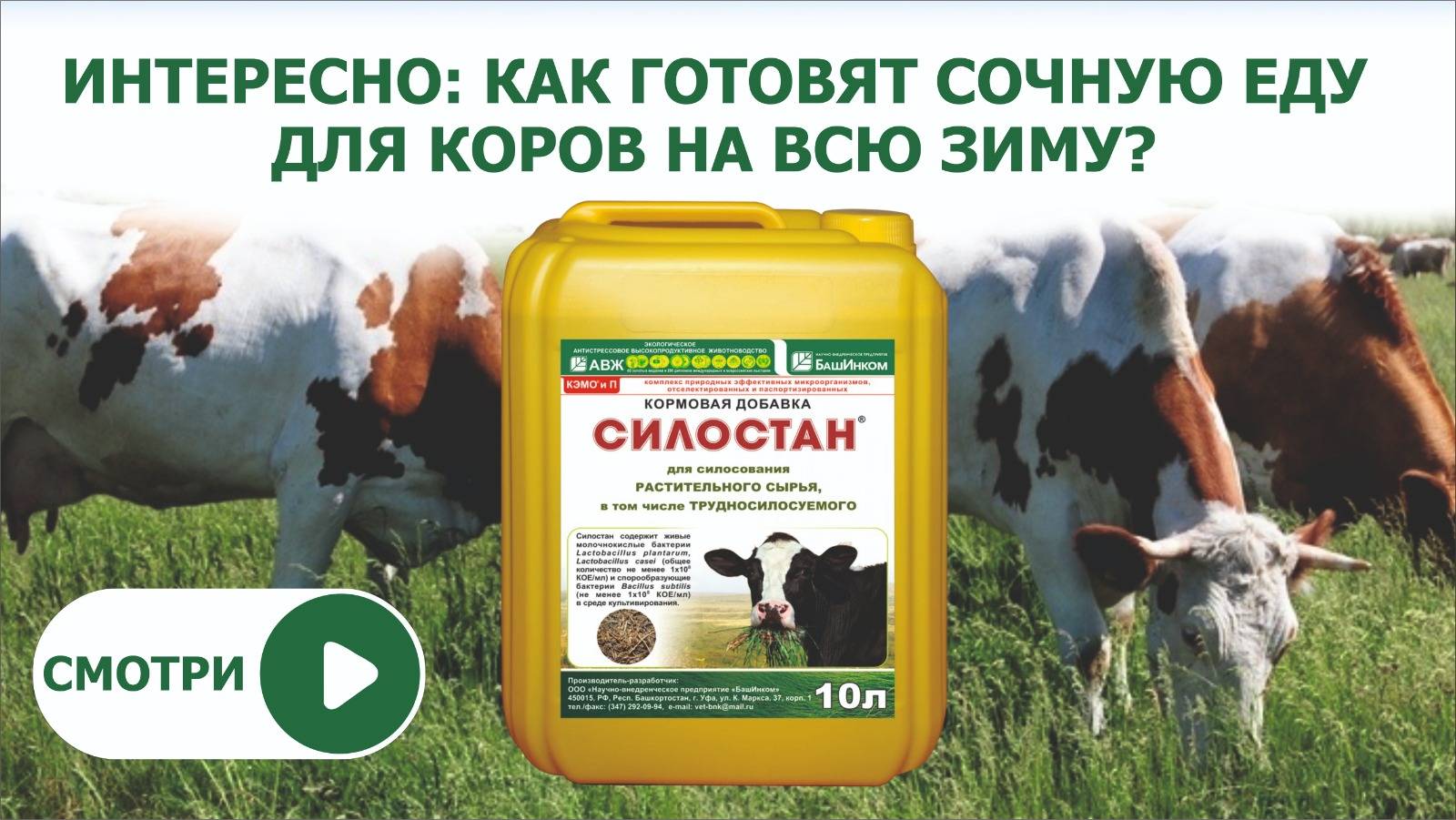 Качественные корма, как их сделать для КРС? Силостан — незаменимый помощник. Смотри видео смотреть онлайн