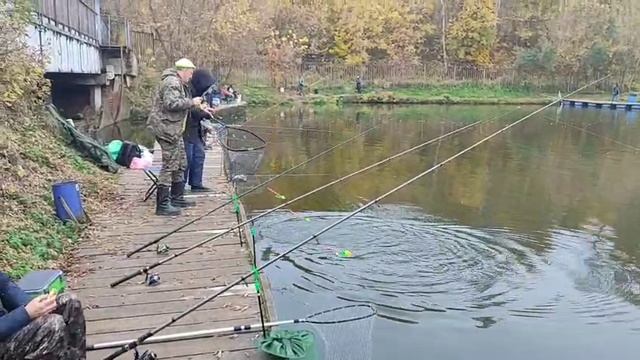 Поимка на стрейч смотреть онлайн