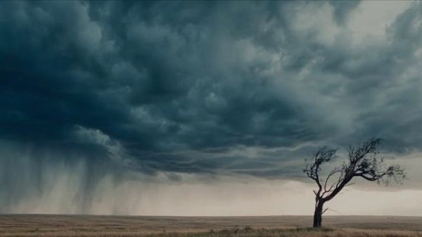 посвящение матерям, которые ждут сыновей с войны