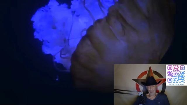 Этология Власти и Биологические корни Политики - часть I