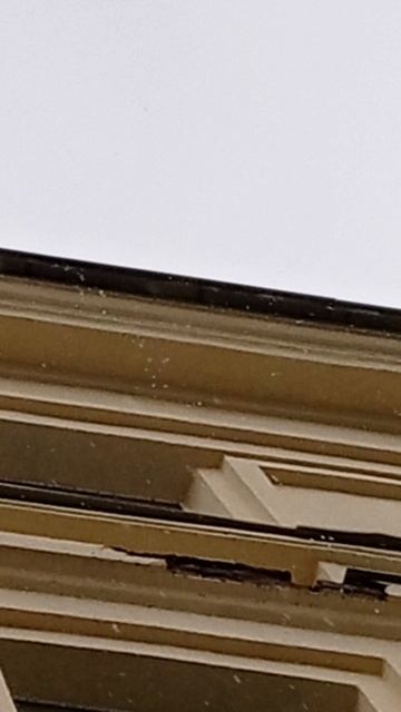 1VID_20250829_183525 смотреть онлайн