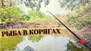 ЛОВЛЯ РЫБЫ НА ПОПЛАВОК С ПВХ ЛОДКИ!!РЫБАЛКА 2025 НА САЗАНА И КАРАСЯ!!