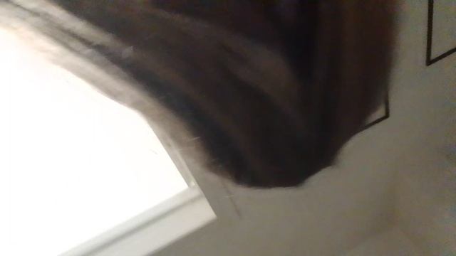 24 ЧАСА ПРАНКУЕМ ДРУГ ДРУГА часть 1