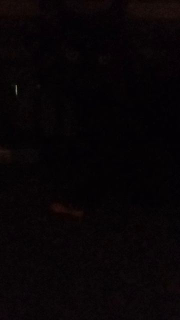 его не видно!!!! смотреть онлайн