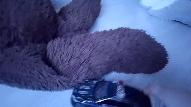 маленькие в мире гигантов.