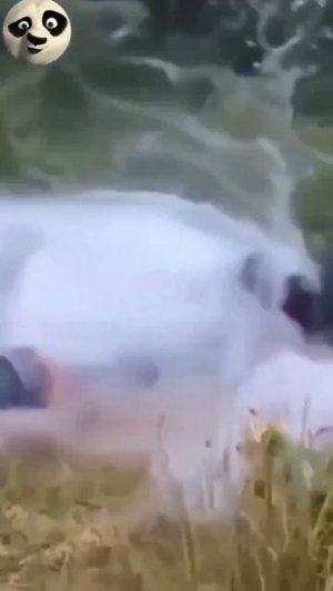 Видео от HackAvto – Лайфхаки и фишки для авто