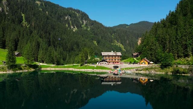 Дикая природа 4К 8К Full HD смотреть онлайн