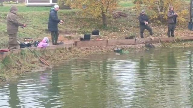 WhatsApp Video 2025-10-10 at 10.00.18 смотреть онлайн