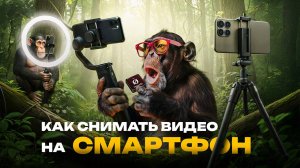 Что нужно для крутой съёмки на смартфон