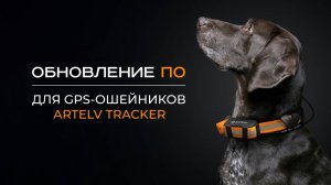 Обновление ПО для GPS-ошейников ARTELV TRACKER