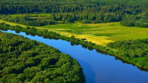 Как зарождалась Югра: от моря до нефтеносного региона