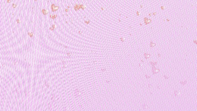 Футаж. Фон для видеомонтажа 640 смотреть онлайн