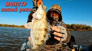 Такие МОНСТРЫ ловятся в НАШЕЙ реке на спиннинг