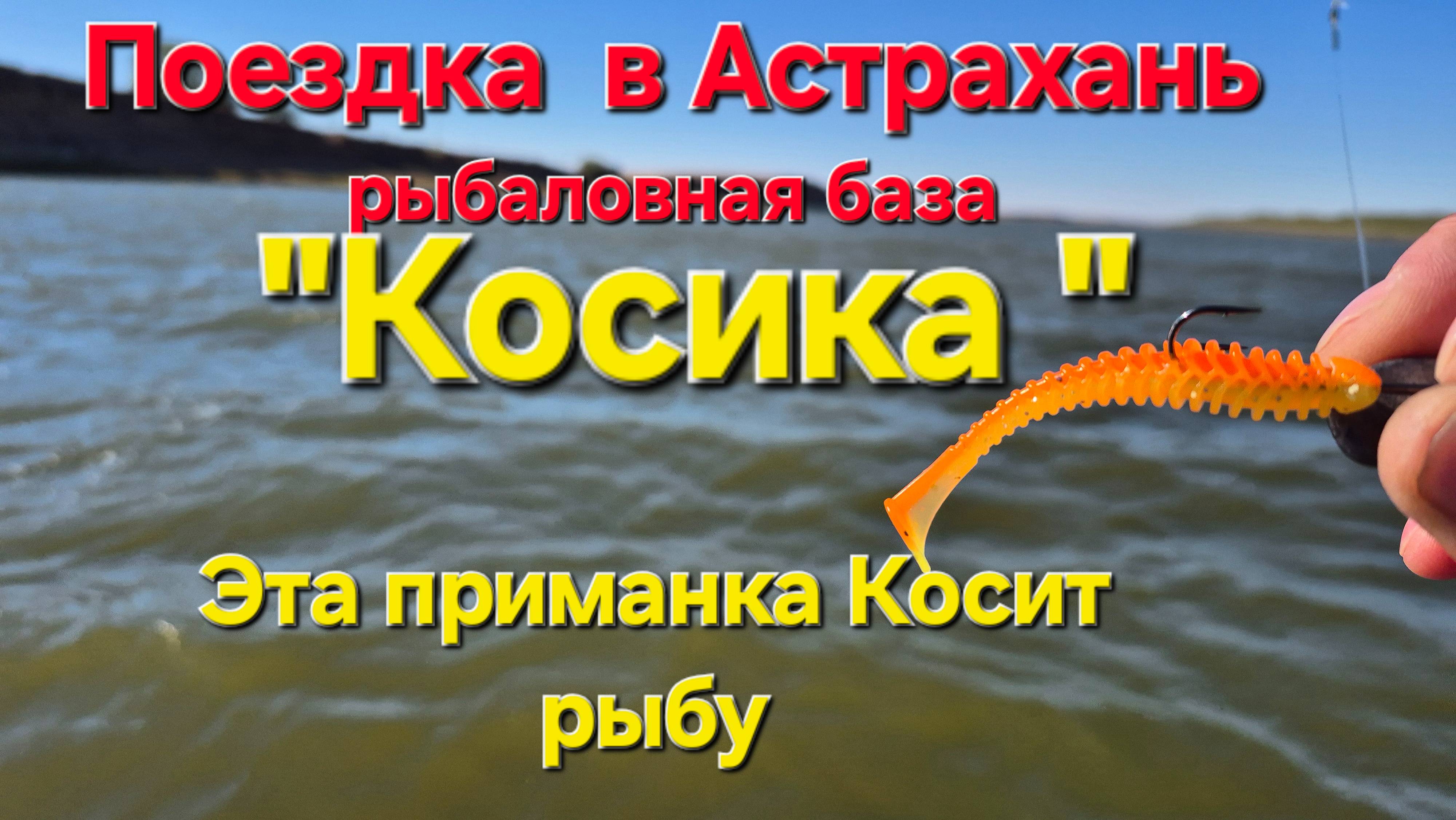 Этот цвет работает всегда! Астрахань осень 2025. Рыбалка на джиг ловля хищника. смотреть онлайн
