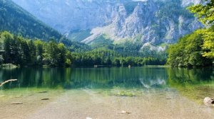 Музыка для успокоения☘️