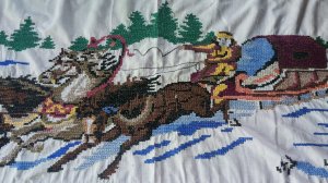 Домашние цветы ,мою окна .