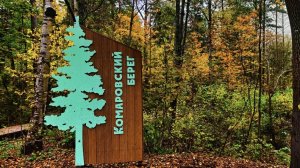 🌳 Экотропа «Комаровский берег» — уникальный природный маршрут в окрестностях Санкт-Петербурга!