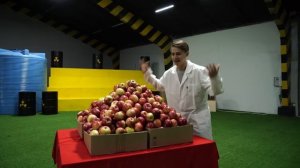 СКОЛЬКО ВОСКА МОЖНО СОСКРЕСТИ СО 100КГ ЯБЛОК?