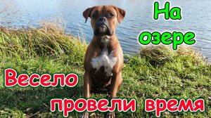 Прогулка к озеру с детьми и Джесси. Д.р. Паши. Ему 17 лет. (10.25г.) Семья Бровченко.