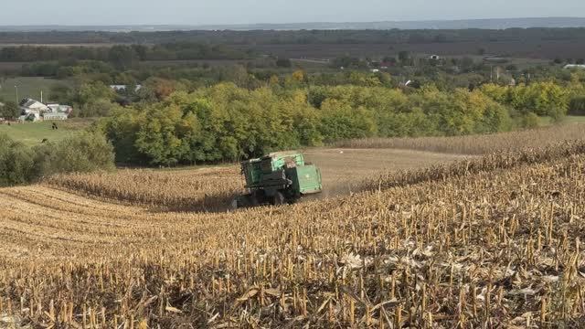 10-10-2025 г. Полевые работы смотреть онлайн