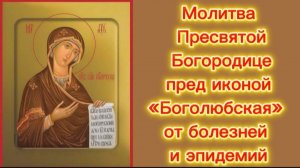 Молитва Пресвятой Богородице пред иконой «Боголюбская» от болезней и эпидемий.