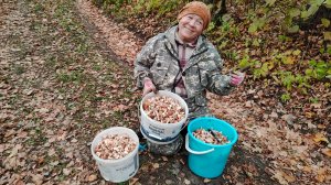 За грибами с братом и сестрой 💑 // нарвались на грибы //