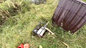 Мертвый баран в болоте... Стадо уменьшится. ХУТОР В ЛЕСУ №831