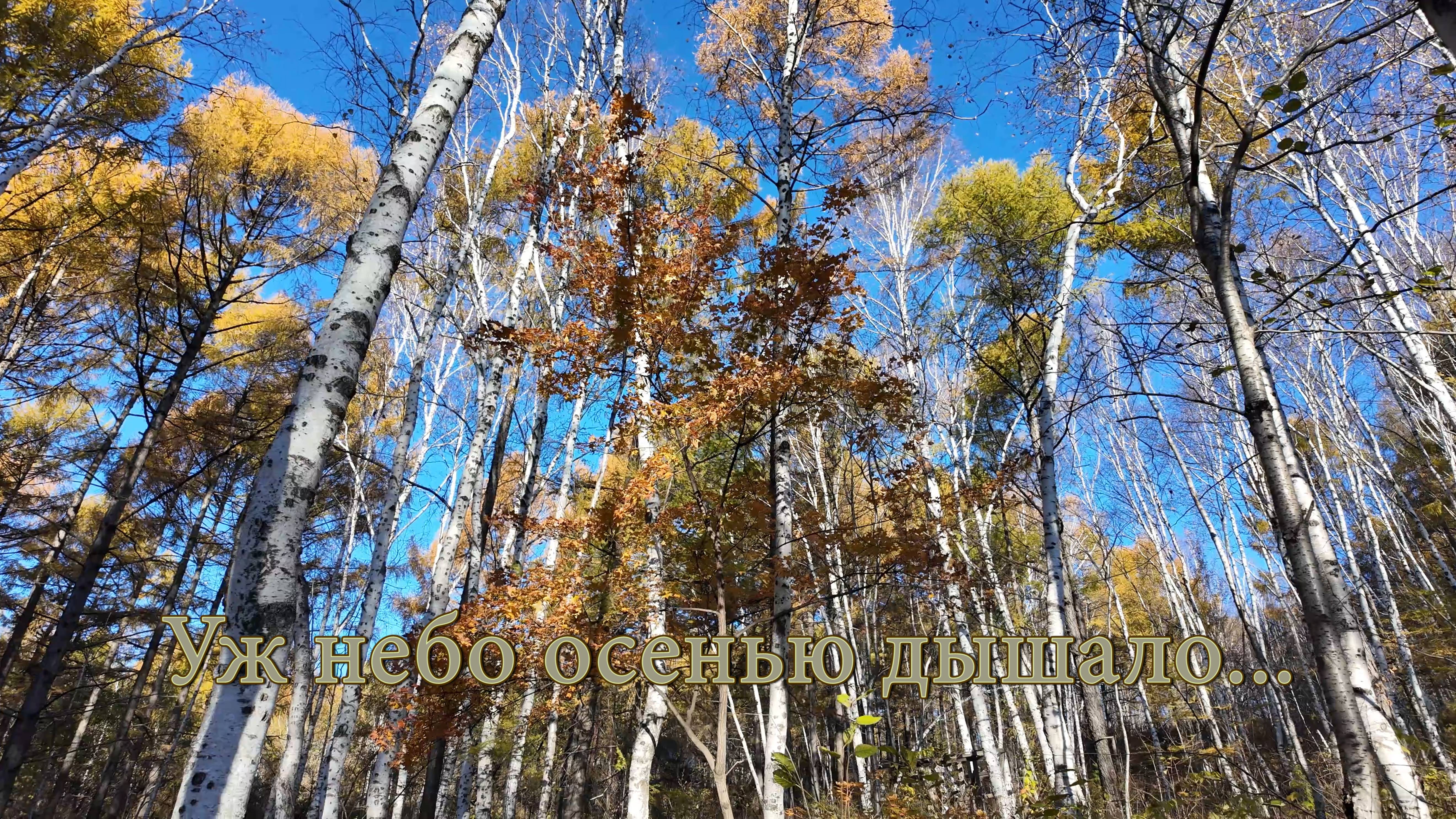 Уж небо осенью дышало... смотреть онлайн