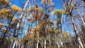 Уж небо осенью дышало...