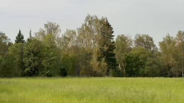 ЗУ :705 д. Мостки смотреть онлайн