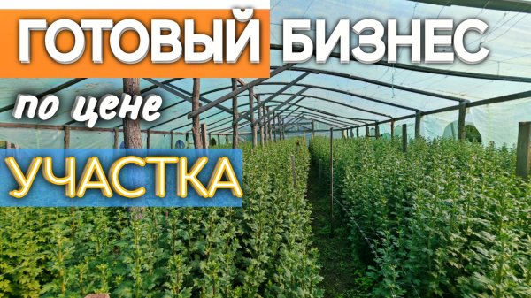 ЭТОТ УЧАСТОК - МЕЧТА ЛЮБОГО БИЗНЕСМЕНА!
