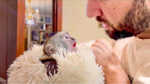 Степка ушел домой, а Финик СТАЛ ВЫГОВАРИВАТЬ Денису свои недовольства, но быстро успокоился))