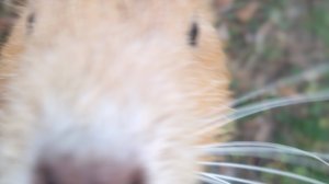 Лучшие:﹥(простите если кого то забыла)