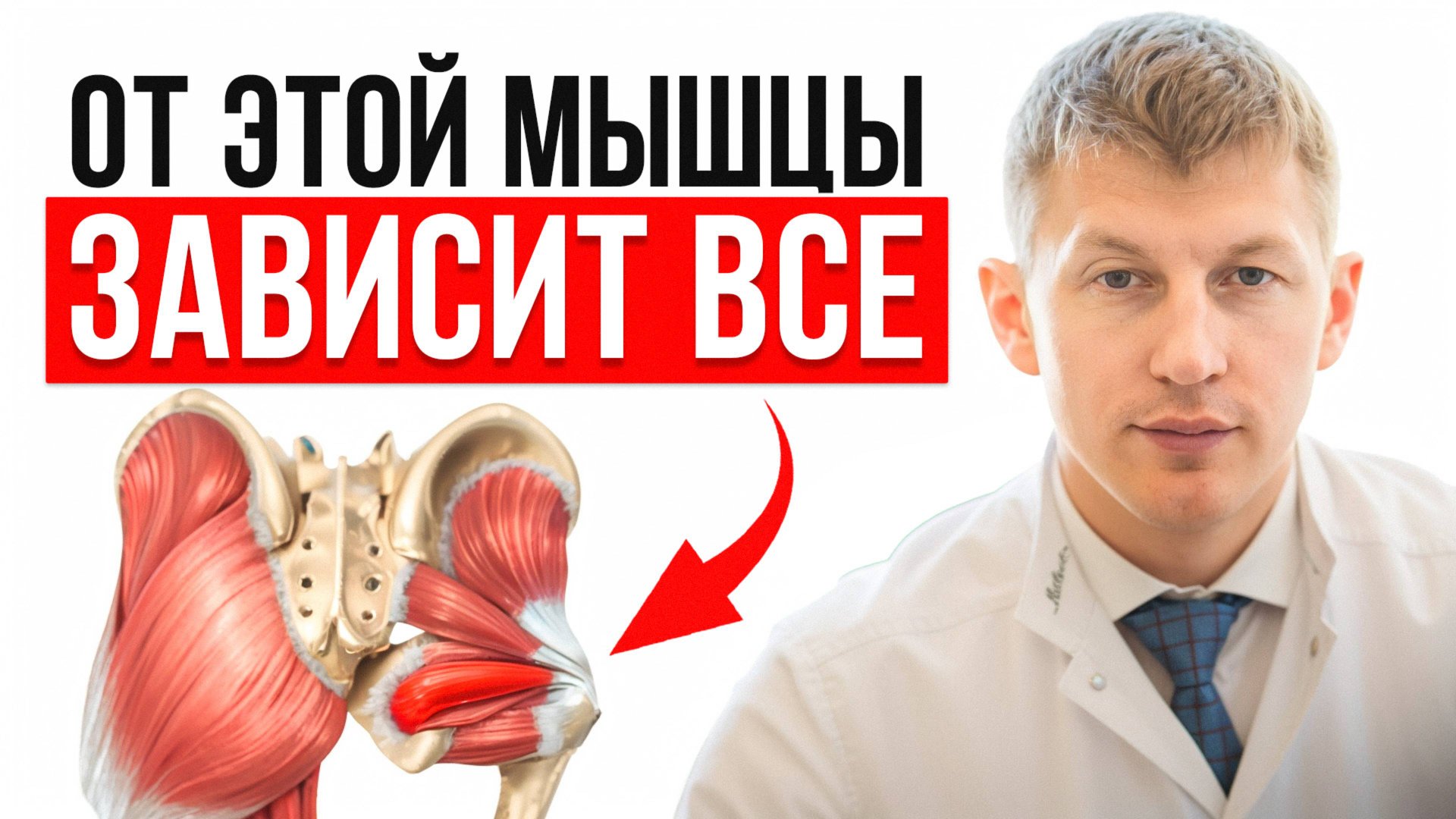 Спазм этой мышцы ведет к недержанию мочи и выпирающему животу! / Простой комплекс упражнений смотреть онлайн