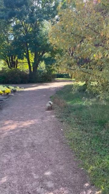 Красота какая 💖💖💖 смотреть онлайн