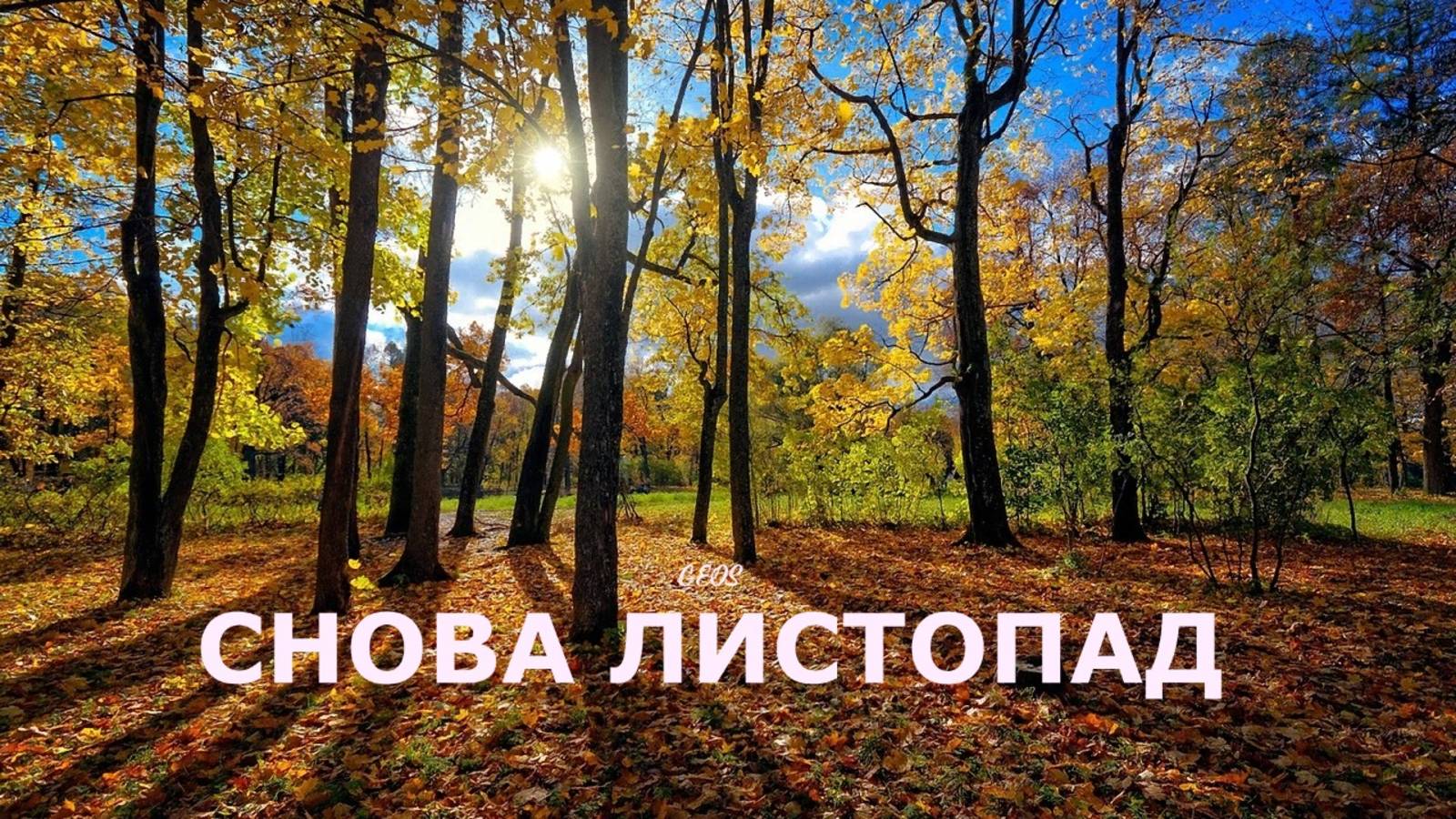 Георгий Шлифер "Снова листопад"