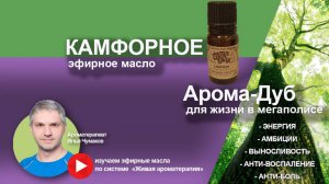Камфорное эфирное масло (камфора) - свойства и применение