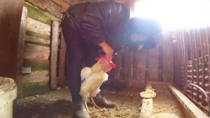 Жизнь на Алтае,Простая деревенская семья,Не хватит сил на них,привык к этому,Стал сильный,